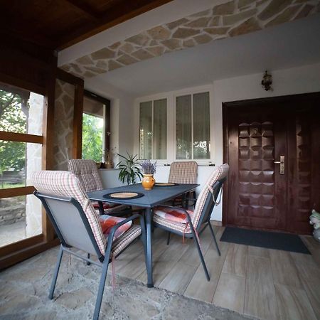 Вілла Full-House Si Gradina In Bucovina, Lisaura Екстер'єр фото